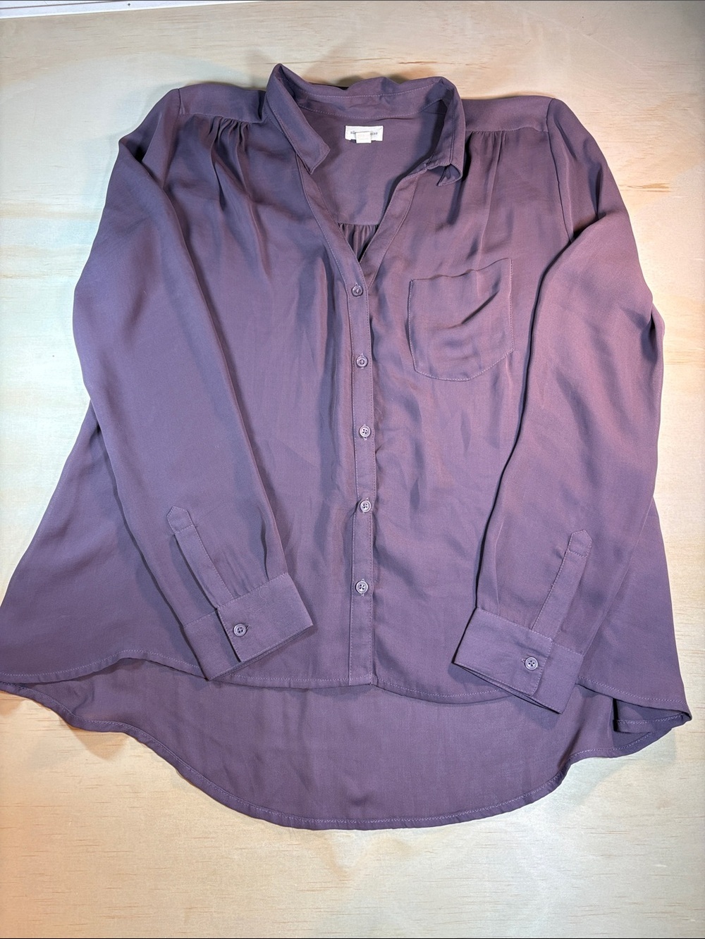 Silence + Noise Sheer Long Sleeve Top